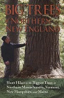 Big Trees of Northern New England